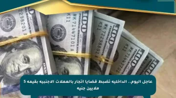 عاجل اليوم.. الداخلية تضبط قضايا اتجار بالعملات الأجنبية بقيمة 5 ملايين جنيه